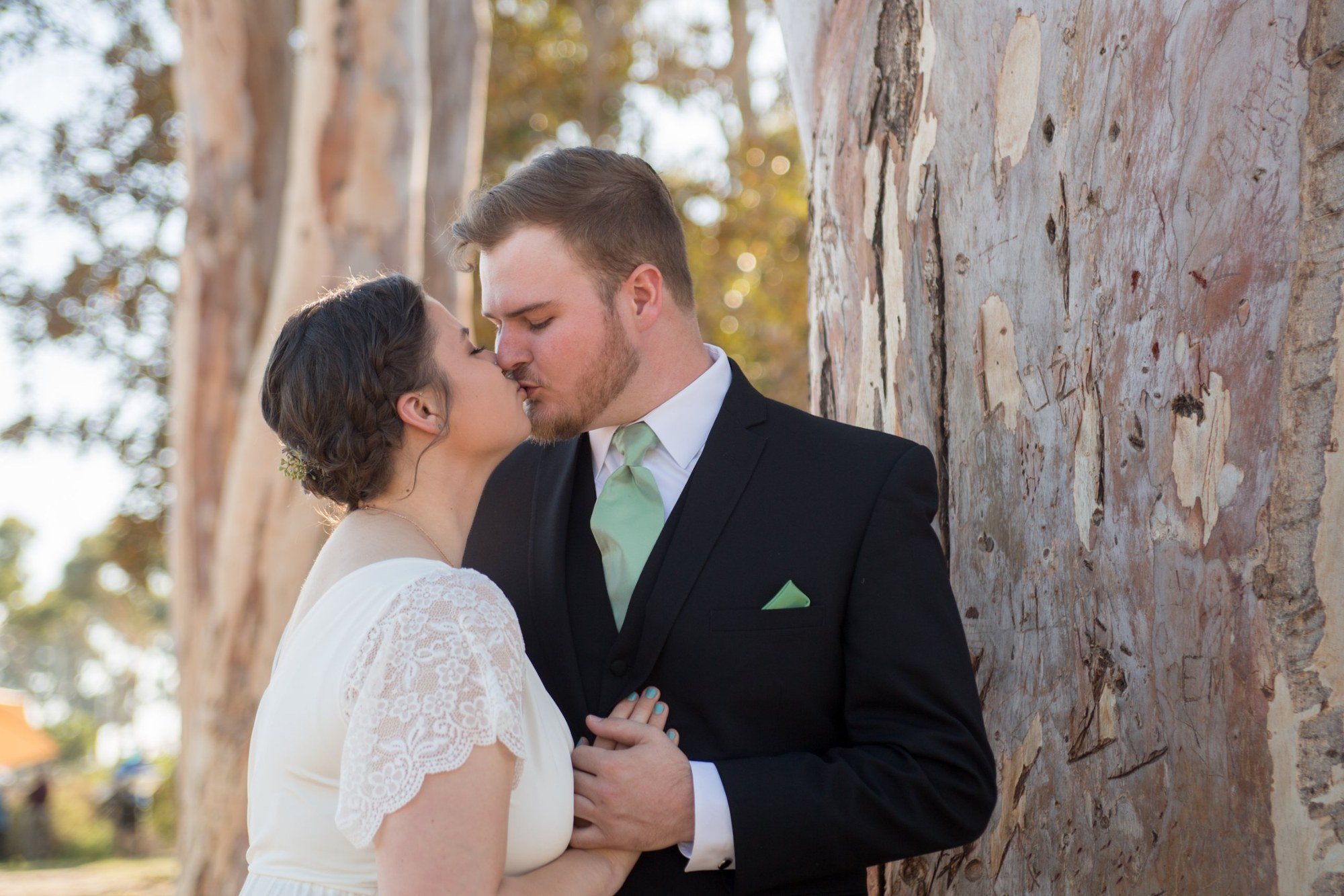 Couple kissing beside a eucalyptus tree in golden light